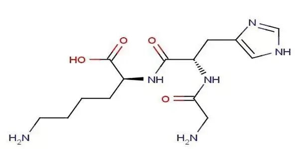 寡肽對(duì)皮膚的重要性